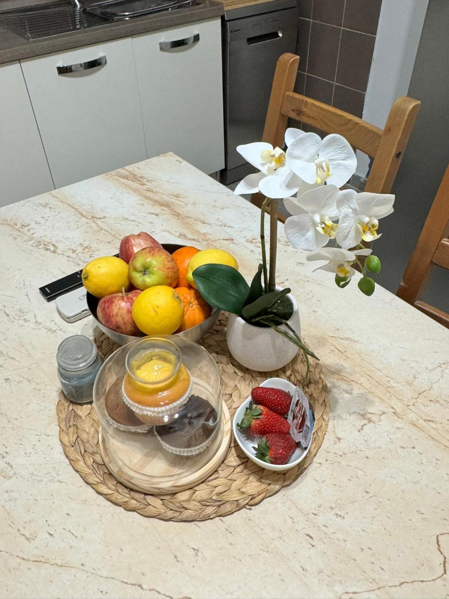 Gemma Suites Whole Apartment 博洛尼亚 外观 照片