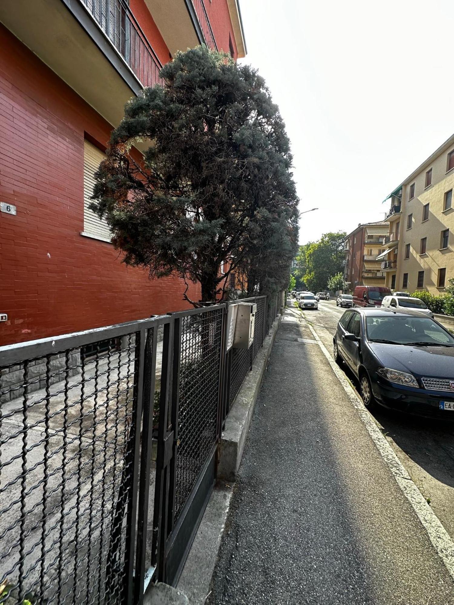 Gemma Suites Whole Apartment 博洛尼亚 外观 照片